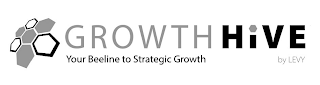 GROWTH HIVE YOUR BEELINE TO STRATEGIC GROWTH BY LEVY logo