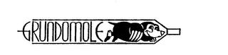 GRUNDOMOLE logo
