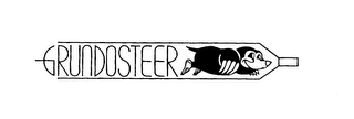 GRUNDOSTEER logo