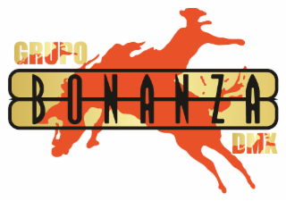GRUPO BONANZA DMX logo