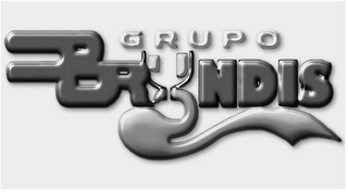 GRUPO BRYNDIS logo