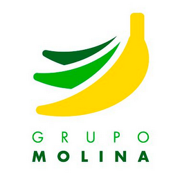 GRUPO MOLINA logo