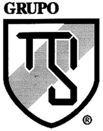 GRUPO MSI logo