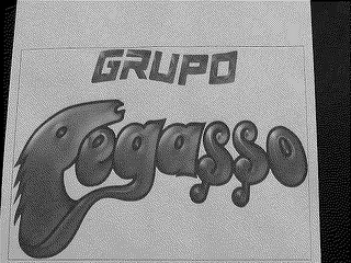 GRUPO PEGASSO logo