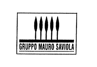GRUPPO MAURO SAVIOLA logo
