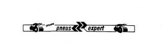 GRUPPO PNEUS EXPERT logo