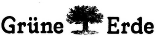 GRÜNE ERDE logo