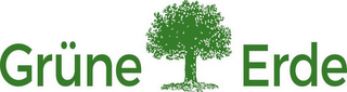 GRÜNE ERDE logo