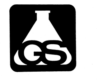 GS logo