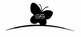 GS logo