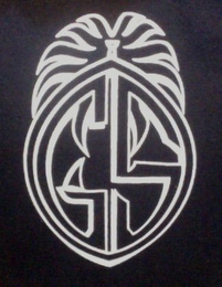GS logo