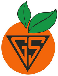 GS logo