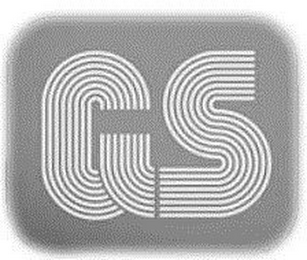 GS logo