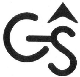 GS logo