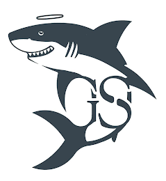 GS logo