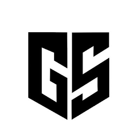 GS logo