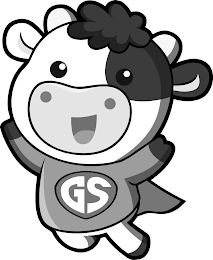 GS logo