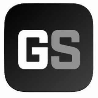 GS logo