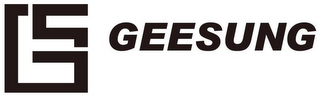 GS GEESUNG logo