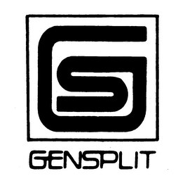 GS GENSPLIT logo