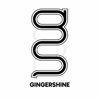 GS GINGERSHINE logo