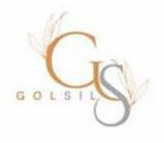 GS GOLSIL logo