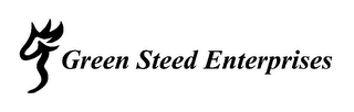 GS GREEN STEED ENTERPRISES logo