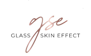 GSE GLASS SKIN EFFECT logo