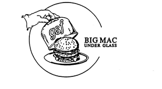 GSF BIG MAC UNDER GLASS logo