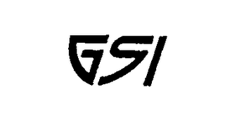 GSI logo