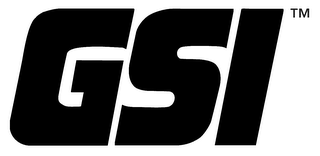 GSI logo