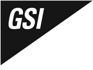 GSI logo