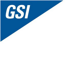 GSI logo