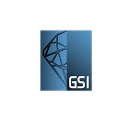 GSI logo