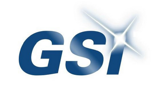 GSI logo