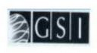 GSI logo