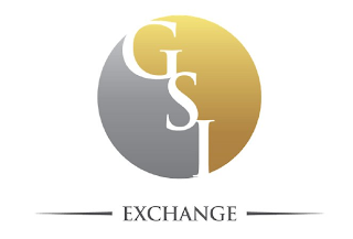 GSI EXCHANGE logo