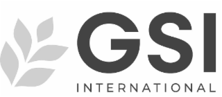 GSI INTERNATIONAL