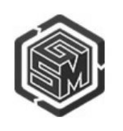 GSM logo