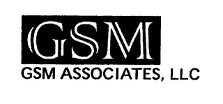 GSM ASSOCIATES, LLC logo