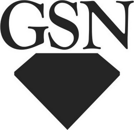 GSN logo
