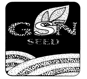 GSN SEED logo