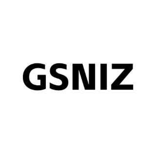 GSNIZ logo