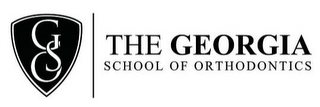 GSO THE GEORGIA SCHOOL OF ORTHODONTICS logo