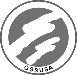 GSSUSA logo