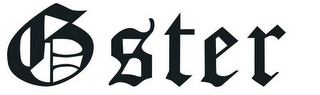 GSTER logo