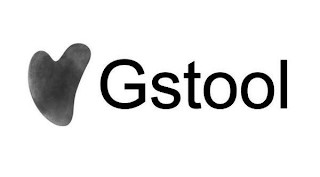 GSTOOL logo