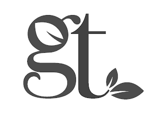 GT logo