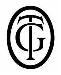 GT logo