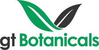 GT BOTANICALS logo